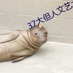 37大但(但)人文艺(藝)术