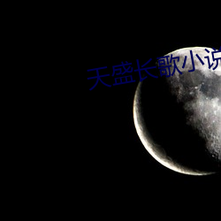 天盛长歌小说 意乱心忙）