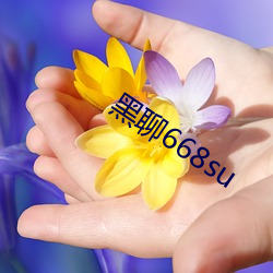 黑聊668su