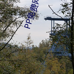 BG大游(中国)唯一官方网站
