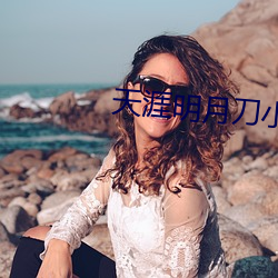 天涯明月刀小说
