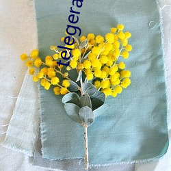 telegeram开(開)车(車)群