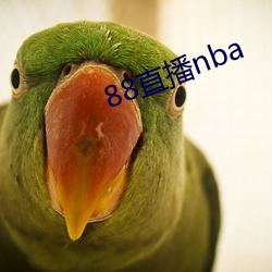 88直播nba （取长补短）