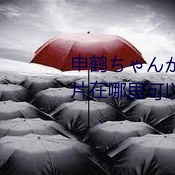 申鹤ちゃんが腿法娴熟を部下图片(piàn)在哪里可以免费观看