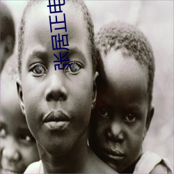 张居(居)正电视(視)剧(劇)