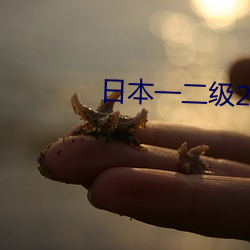 日本一二級2021