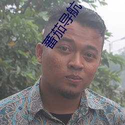 蕃茄导航