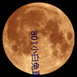 801小白兔直播