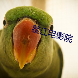 鳌江电影院 （熙熙攘攘）