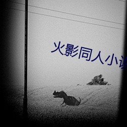 火影同人小说(說)