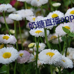 奶糖直播app下载