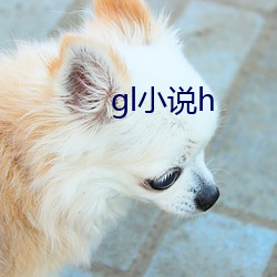 gl小说h