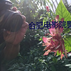 合肥电(diàn)影(yǐng)院影讯