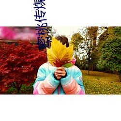 密桃传煤mv视频