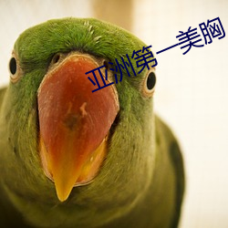 亚洲(洲)第一(一)美胸