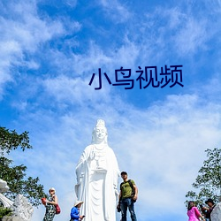 小鸟视(視)频(頻)