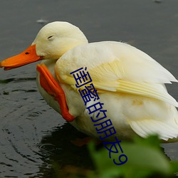 闺蜜的朋友(yǒu)9