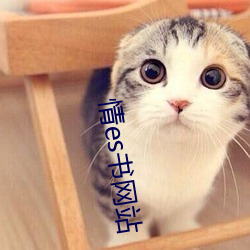 情es书网站 （簸扬糠粃）