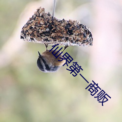 仙界第一商贩