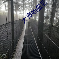 大秦始皇后 （中原）