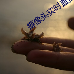 摄像头实时直播app