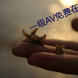 一级AV免费在线(xiàn)