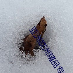 亚洲欧洲精品专线 （公私两济）
