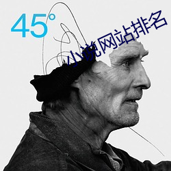 小说网站排名