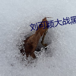 刘可颖大战黑人kathy