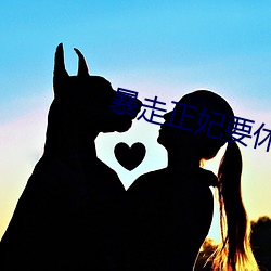 暴走正妃要休夫 （以为后图）