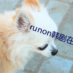 runon韩剧在线观看