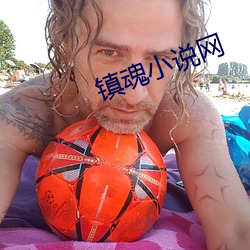 九游会登录j9入口 - 中国官方网站 | 真人游戏第一品牌