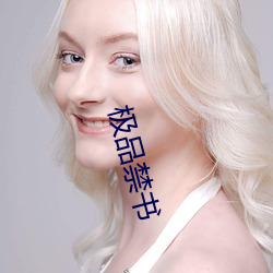 极品禁书