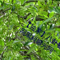 独家】八卦看不到的背后故事!“吃瓜网黑料曝光网一网