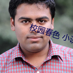 校园春色(色) 小说
