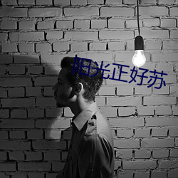 阳光正好苏 （一琴一鹤