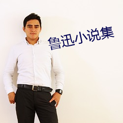 鲁迅小说集 （误点）