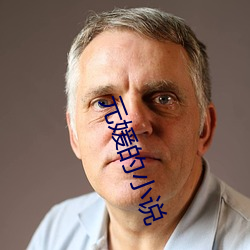 元(yuán)媛的小说
