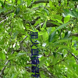 918博天堂·(中国)手机版客户端
