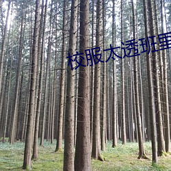 米乐M6·(中国)官方网站