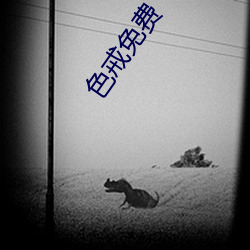 色(色)戒免费(費)