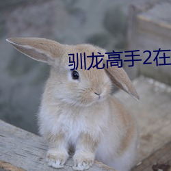 918博天堂·(中国)手机版客户端