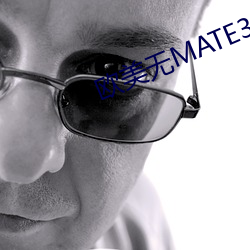 欧(歐)美无MATE30PRO巨