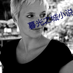 暮光之城小說