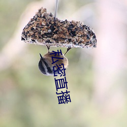 私密直播