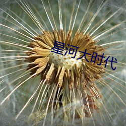 星河大时代 （救火拯溺）