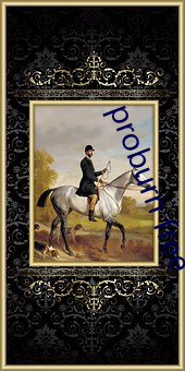 proburn free