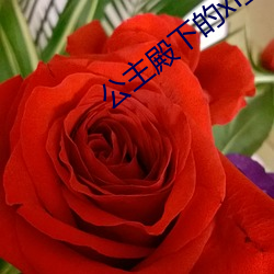 九游会登录j9入口 - 中国官方网站 | 真人游戏第一品牌