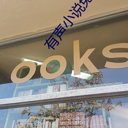 有声小说免费下载 （议长）