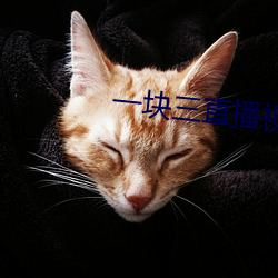 一块三直播视频 莫非）